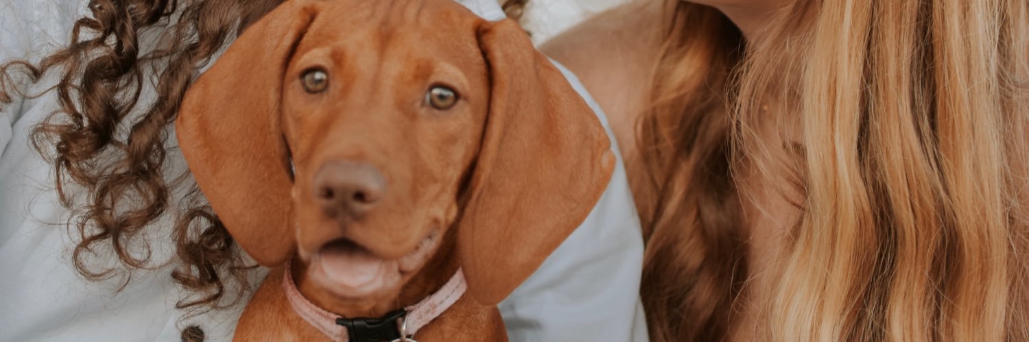 natalie_sheetss's profile banner image