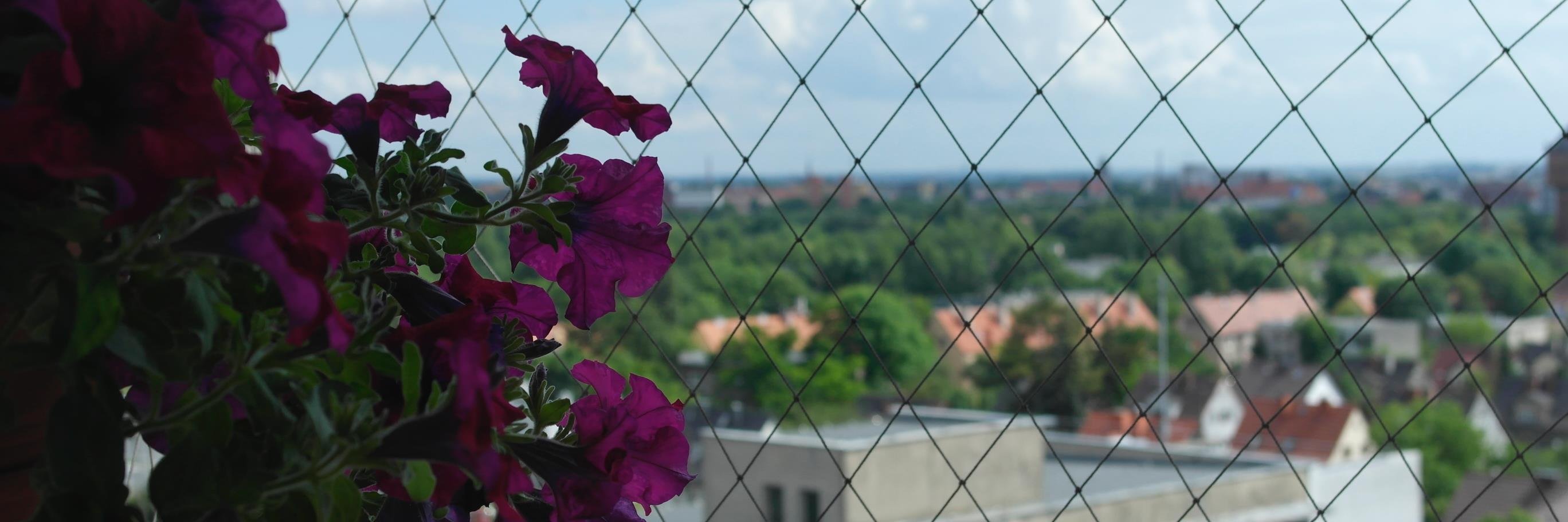 ElKurek's profile banner image