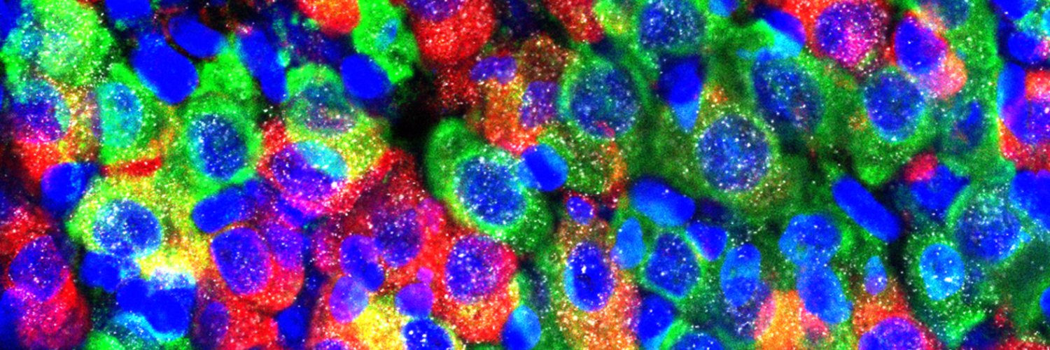 Soledad Barez-Lopez banner