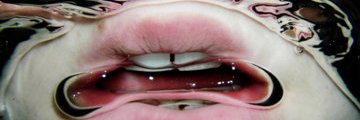 eseAparicio's profile banner image