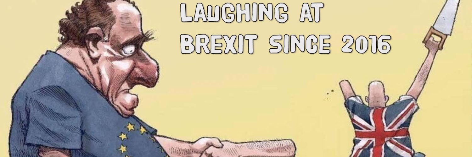 Very Brexit Problems banner