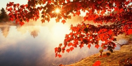 tequila_tiaras_'s profile banner image
