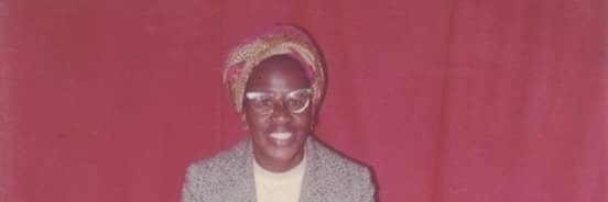 Dragon Fly Jones banner