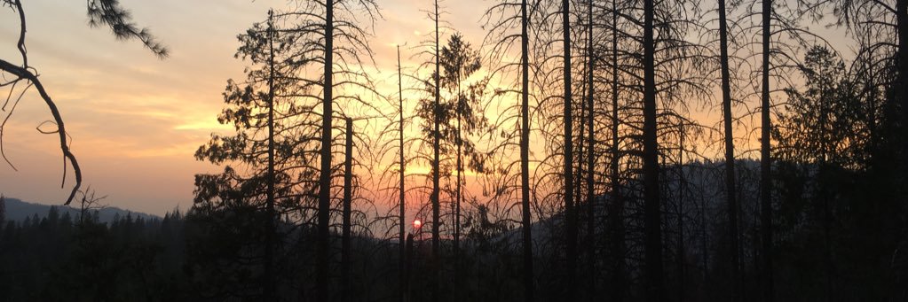 PaulaRodriguezO's profile banner image