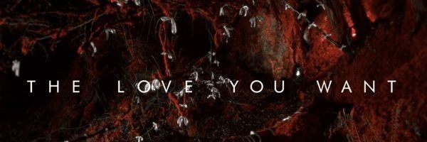 Goldlukeshines's profile banner image