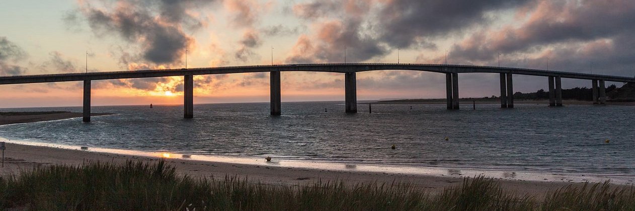 Miguel E. Gil Biraud banner