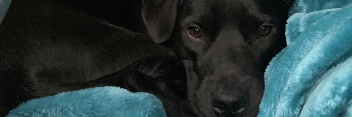 B_tchakeriannnn's profile banner image