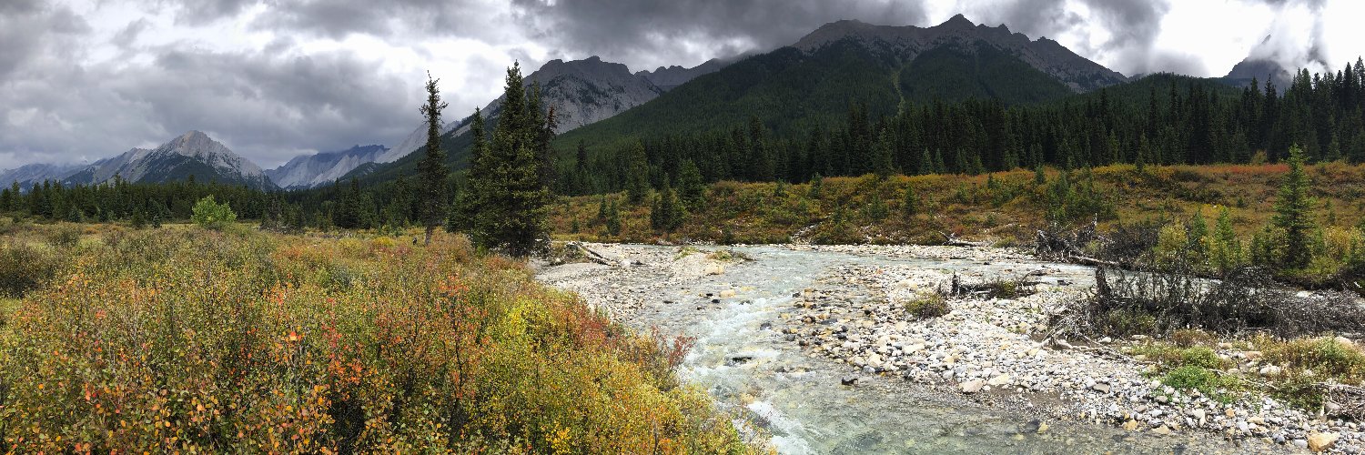 VJ Rubenstein banner