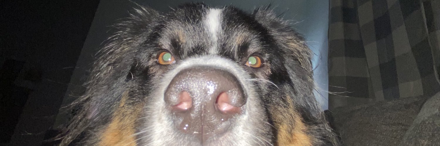 bigboyfonze's profile banner image