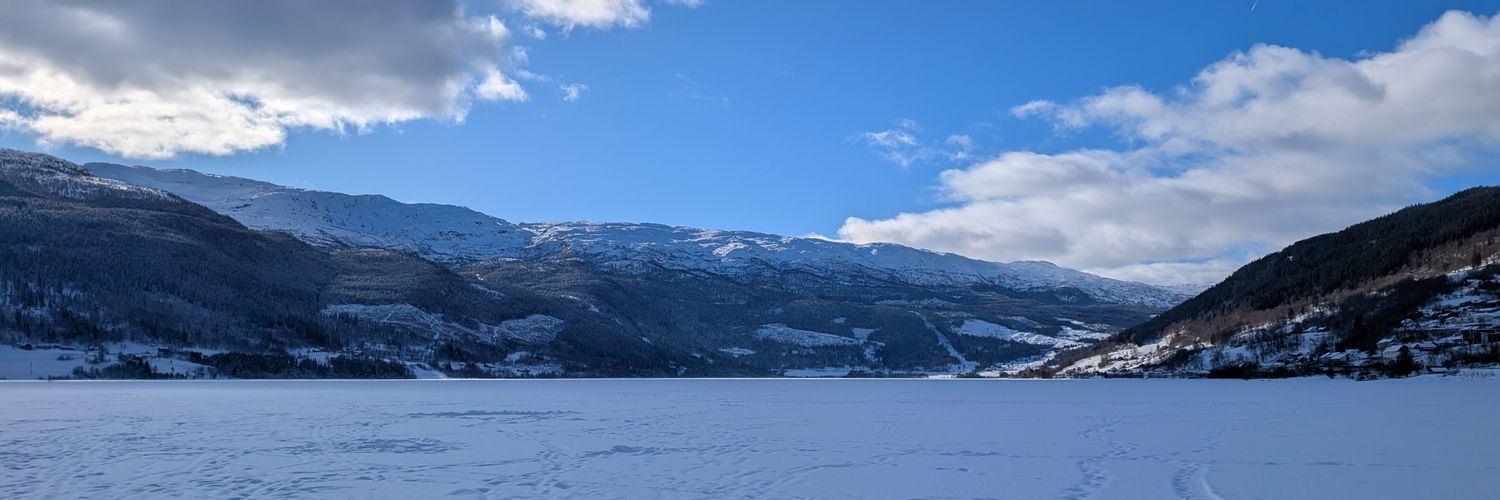 N1bot's profile banner image