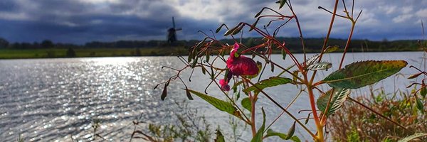 Oakman Profile Banner