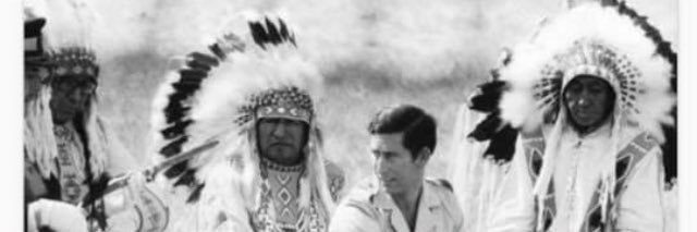 Rachel Ann Snow banner