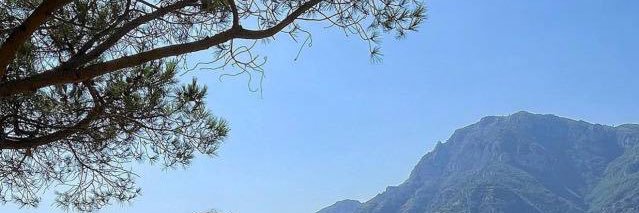 saraa_oo's profile banner image