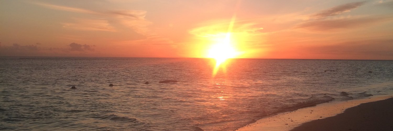 Helen Milestone banner