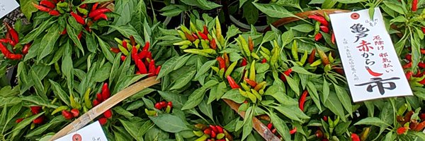 ryorca Profile Banner