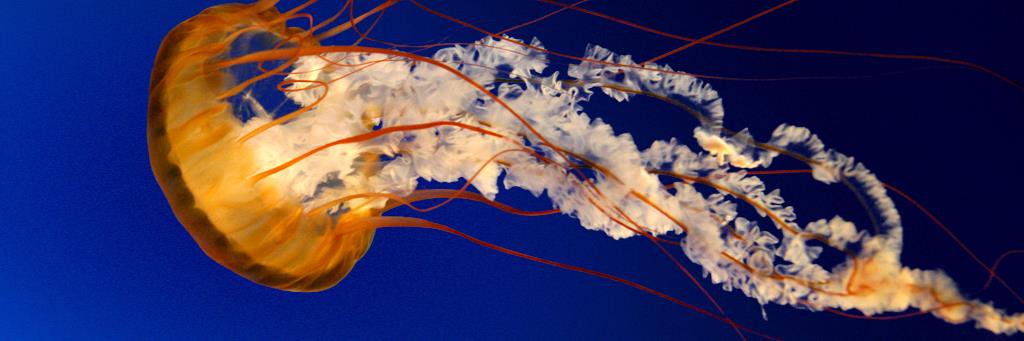 rmbartolome2004's profile banner image
