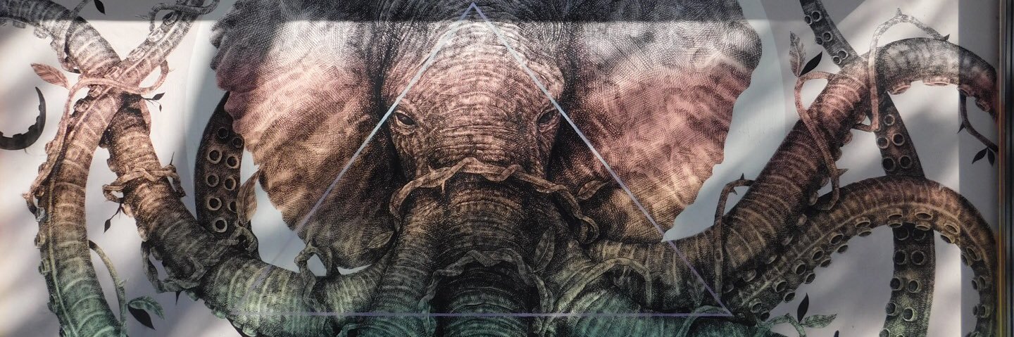 laurenfleisch's profile banner image