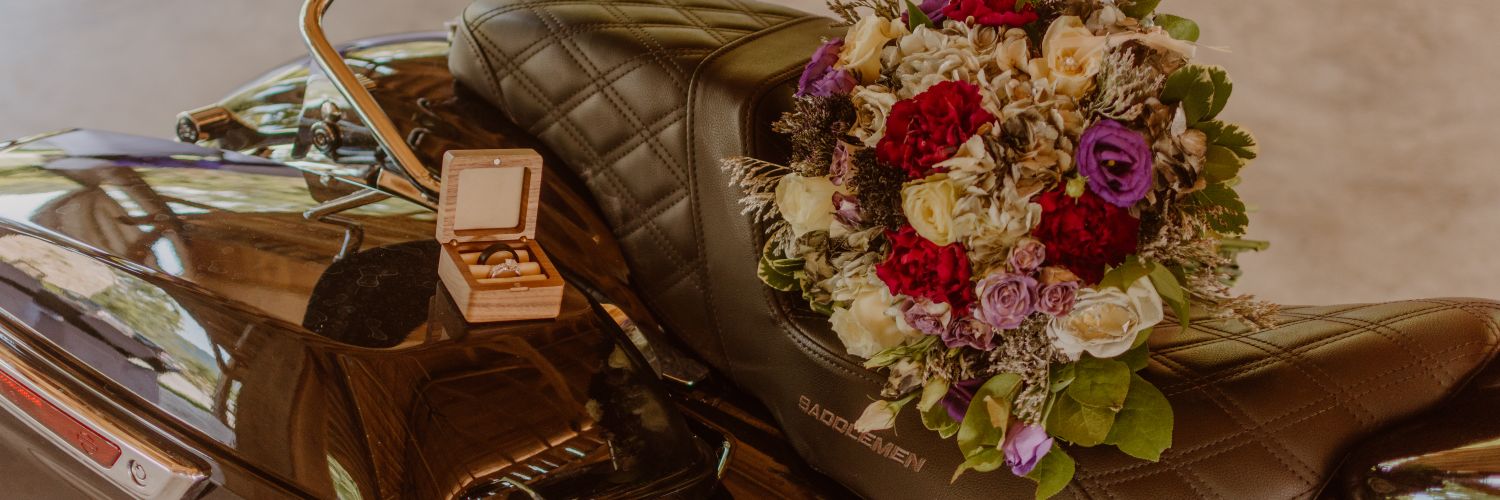 AlisaMcKinney6's profile banner image