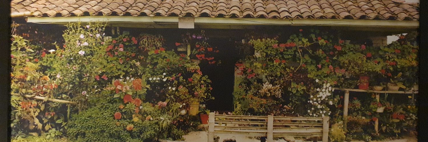 MontoyaConi's profile banner image
