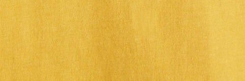 Paveenarach's profile banner image