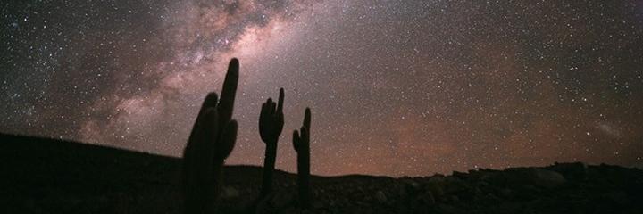 NicoRamirezPs's profile banner image