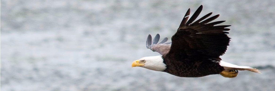 Fairfield ISD banner