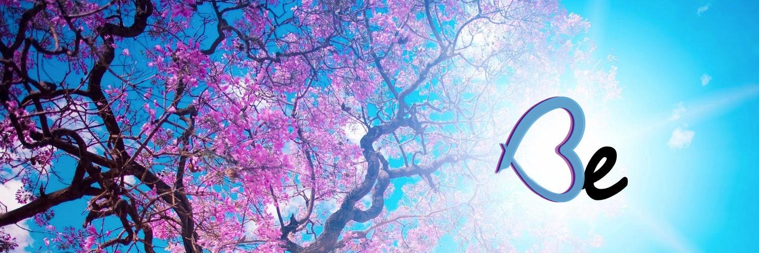 BeTransNB's profile banner image