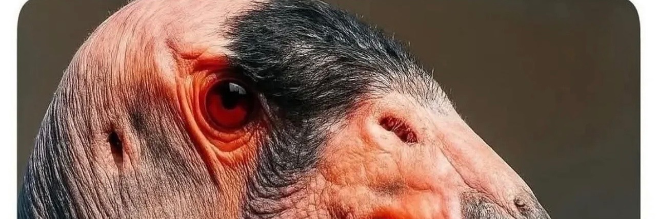 Donbiley D'Ruler banner