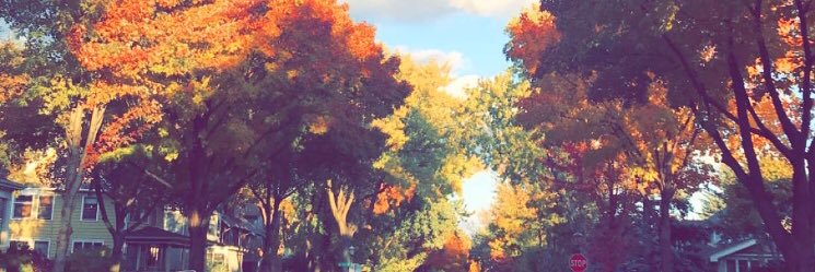 DrewNelson12's profile banner image