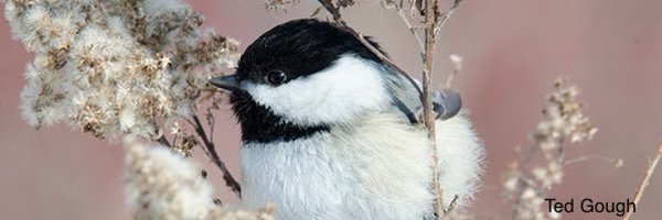 dcot33 Profile Banner