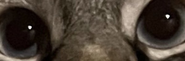 ItsTopGunn7 Profile Banner