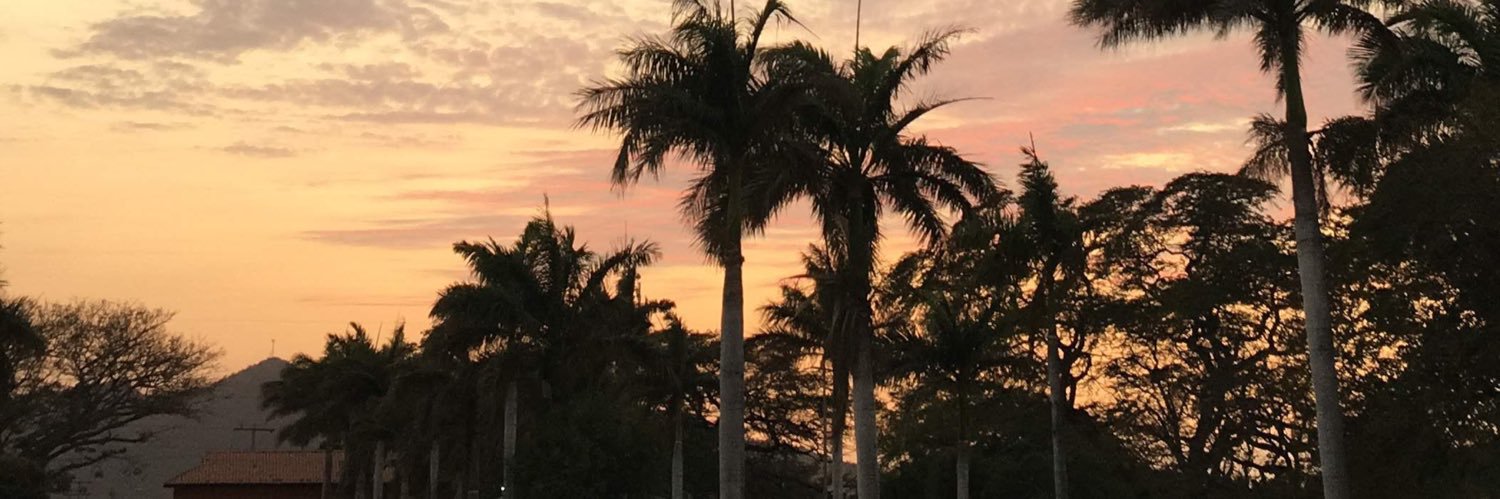 mfernandagomezz's profile banner image
