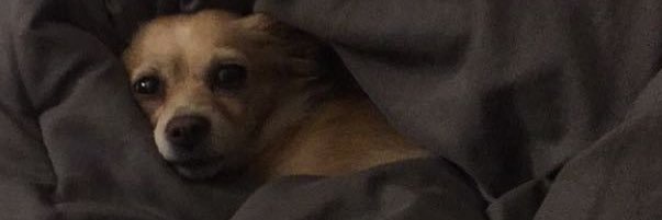vmnza's profile banner image