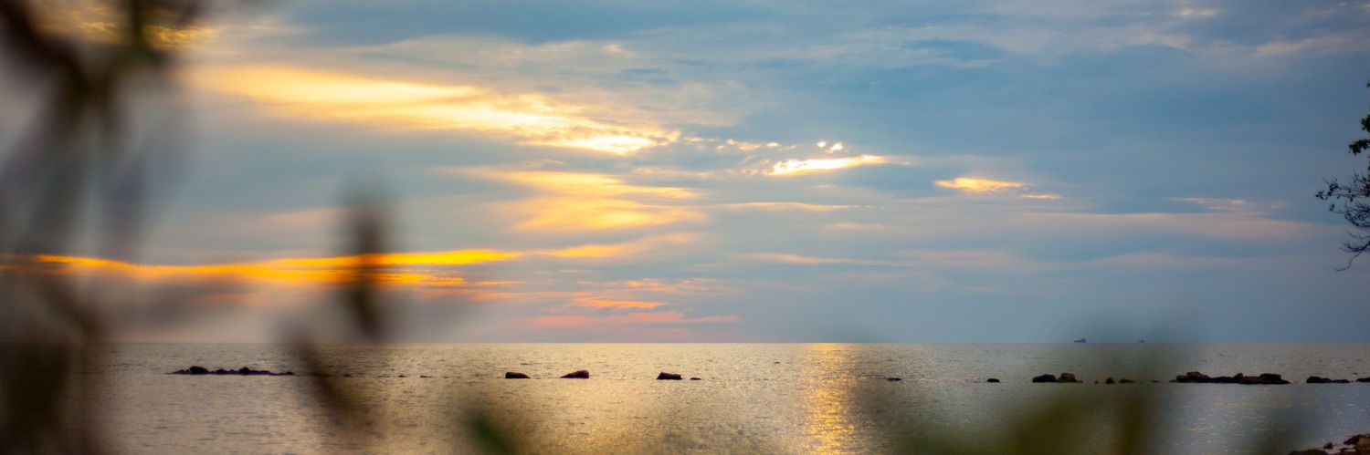 Mario_Andres56's profile banner image