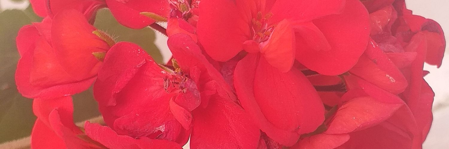 Ye_estr's profile banner image