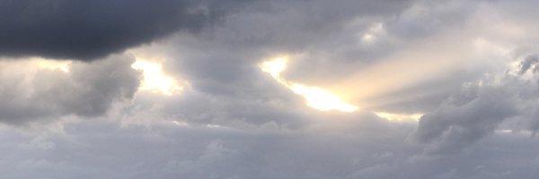 dbarel Profile Banner