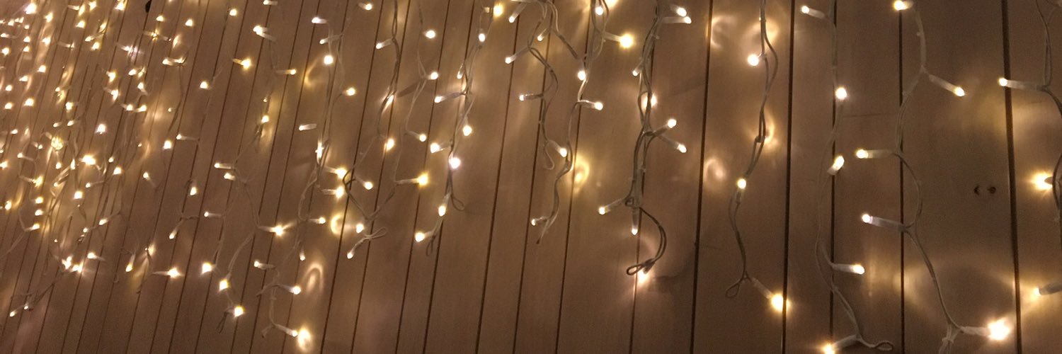 AnnPanda33's profile banner image