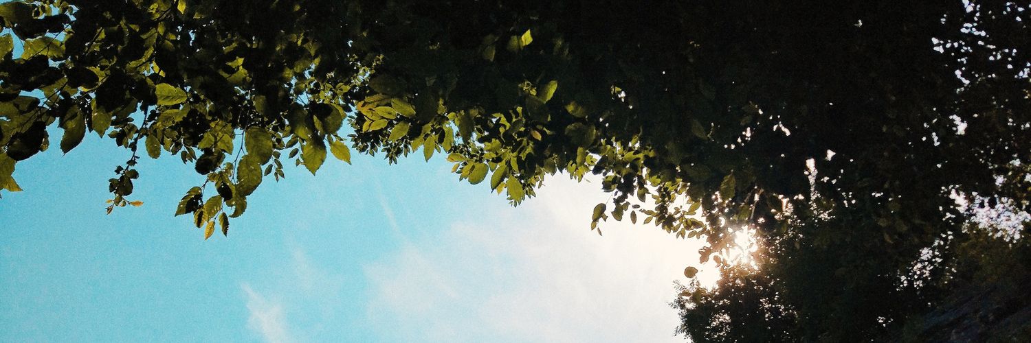1elanoraa's profile banner image