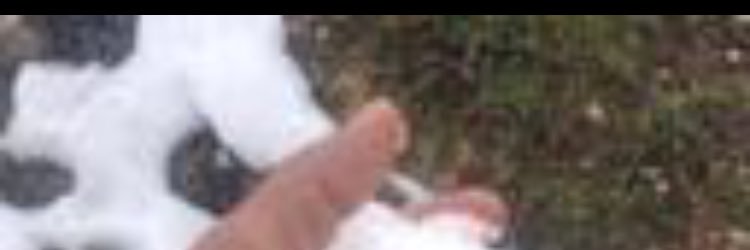 dosfa_'s profile banner image