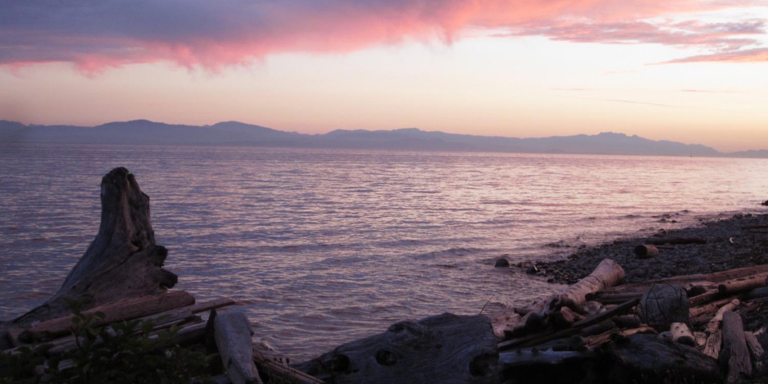 coastscholar's profile banner image