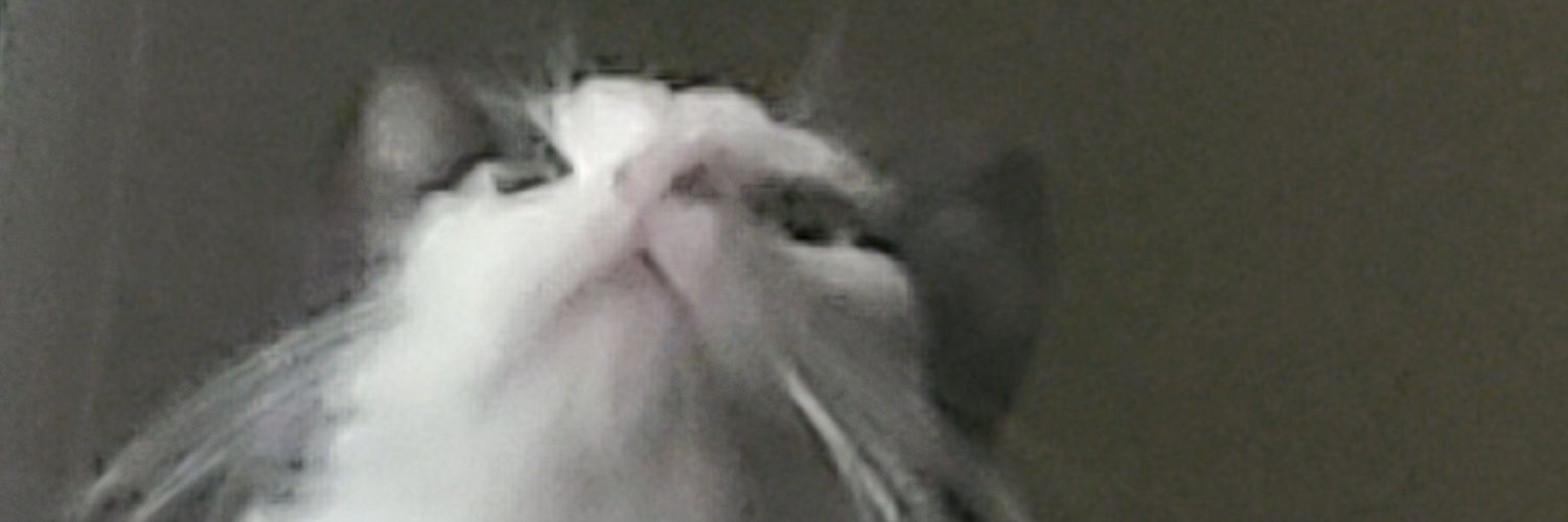 Nick banner