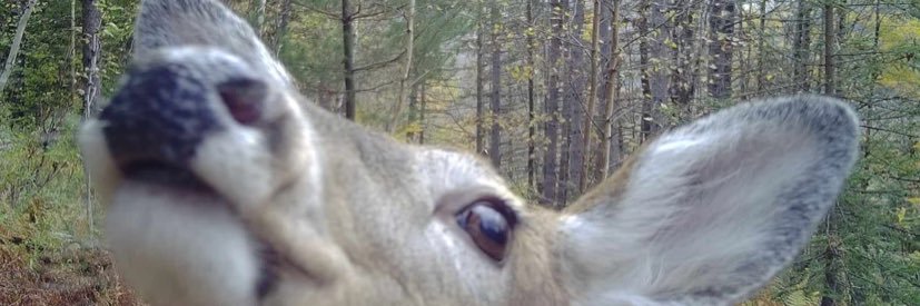 anothershortkid's profile banner image
