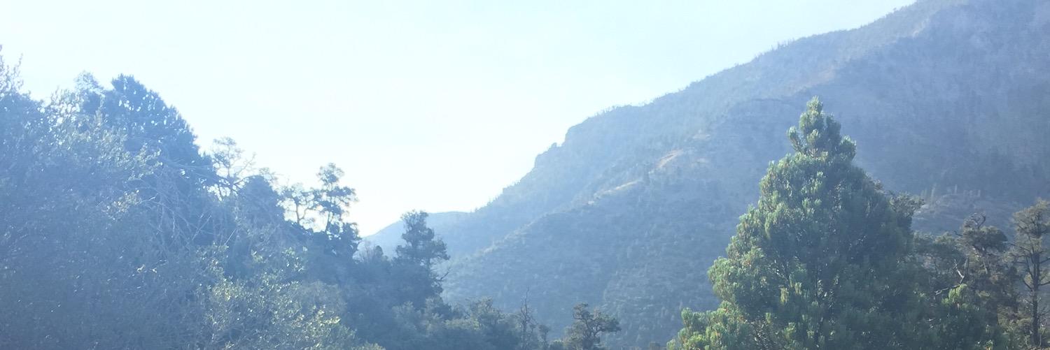 lydiabushey's profile banner image
