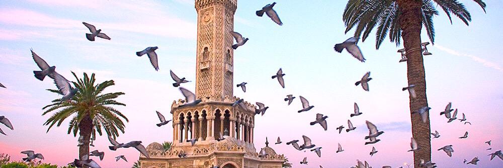 mnknurettin's profile banner image