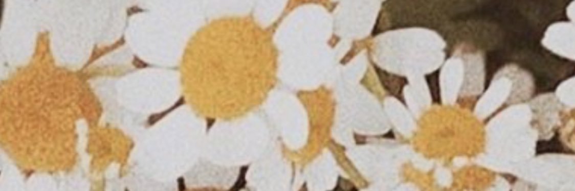 haileyy_brown's profile banner image