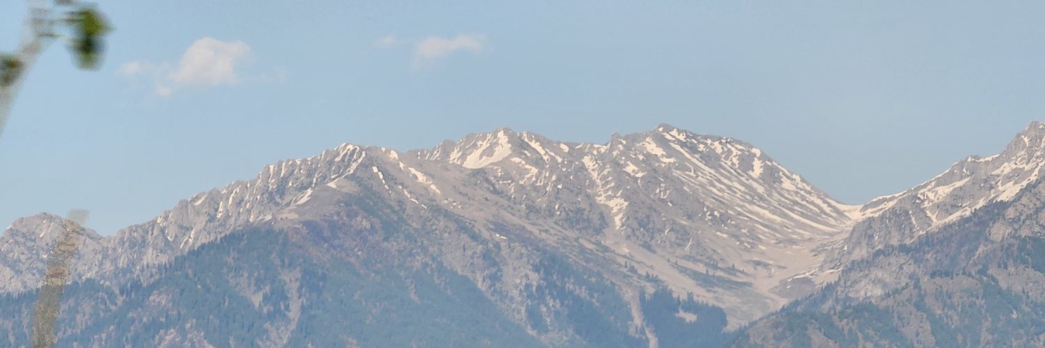 Rayees Mohammad Bhat banner