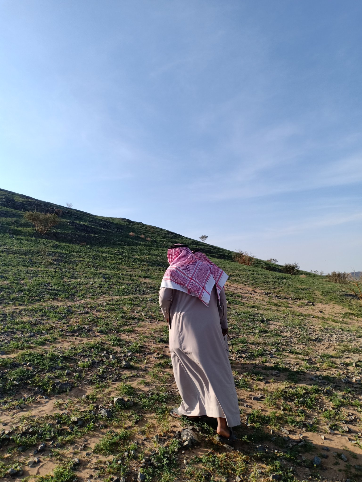 traheb_1's profile banner image