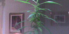 jerrytownsend90's profile banner image