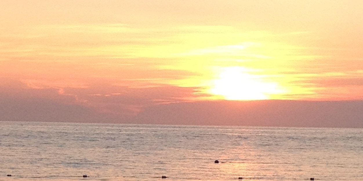 tina_schuler's profile banner image