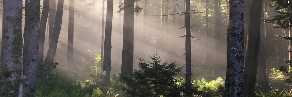 takerleysbhs's profile banner image